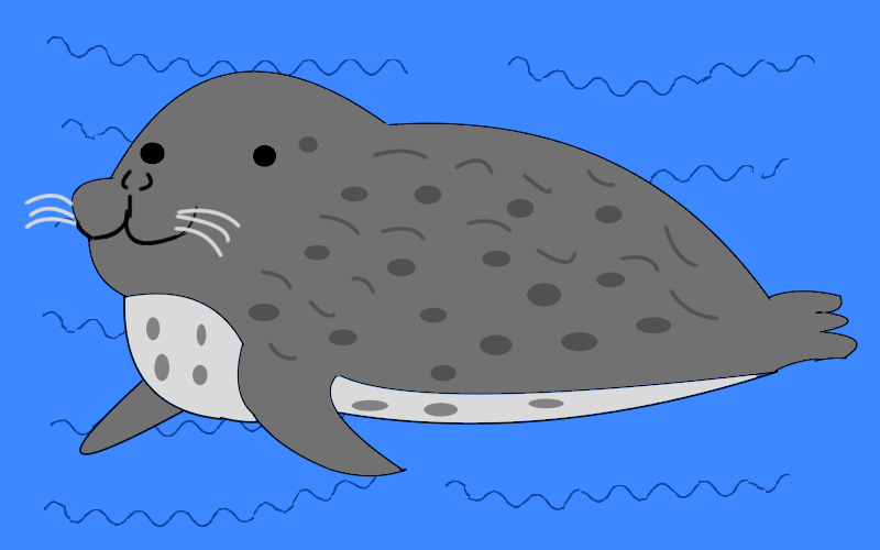 コラム【SBC横浜メンバー　よっちゃん】