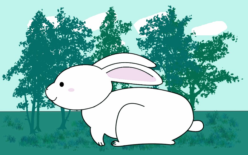 コラム【SBC横浜メンバー　よっちゃん】