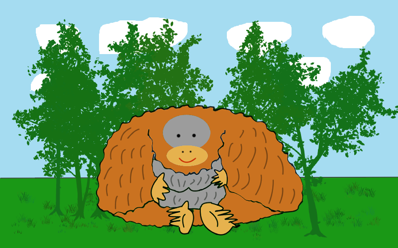 コラム【SBC横浜メンバー　よっちゃん】